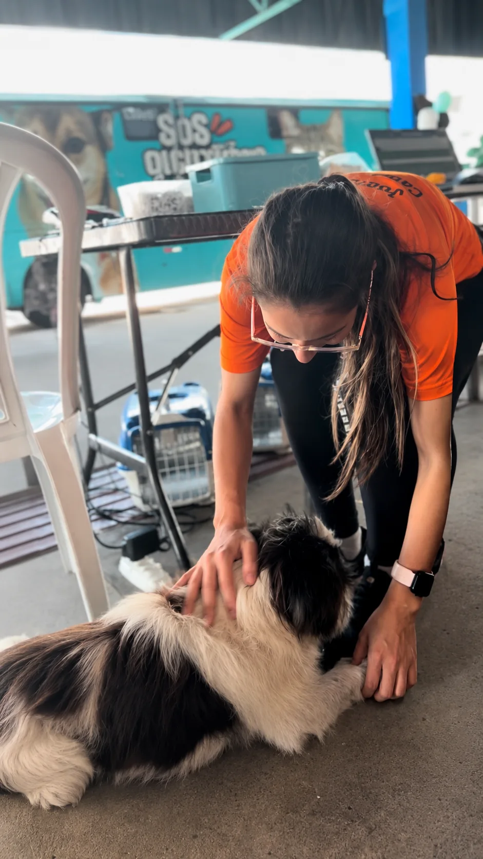 Registro de ação de castração — foto 3