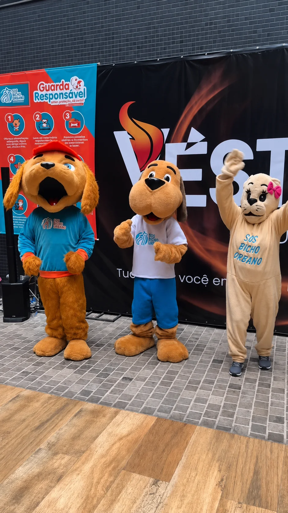 Mascotes — registro 5 do Instituto SOS Bicho Urbano