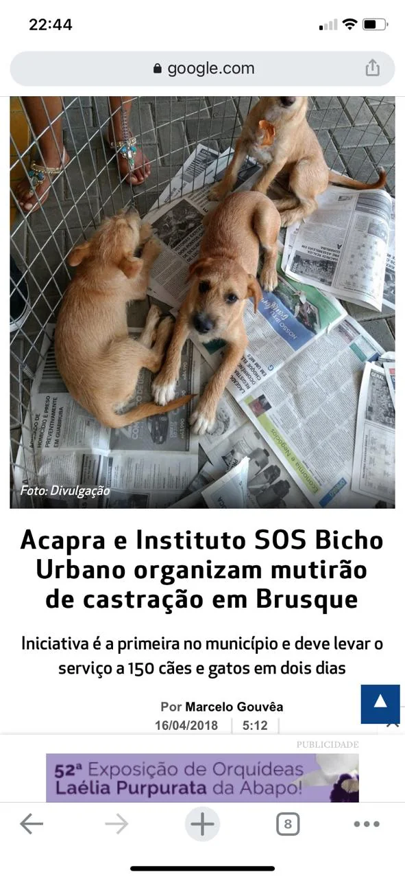 Parcerias — registro 2 do Instituto SOS Bicho Urbano