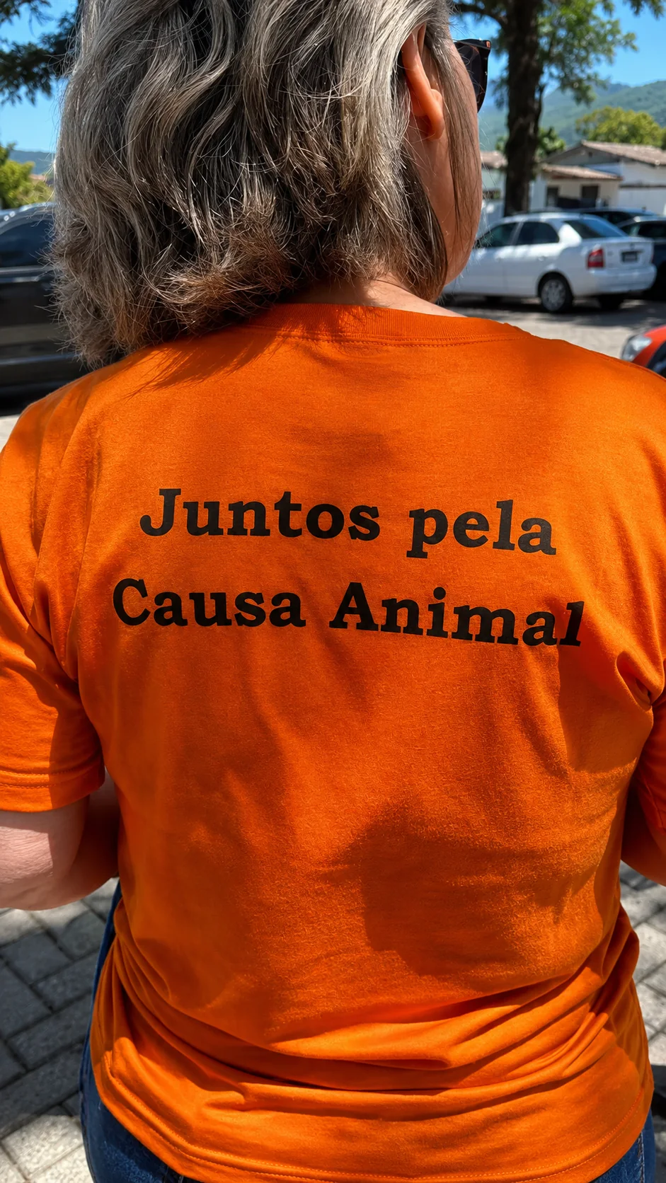 Voluntariado — registro 5 do Instituto SOS Bicho Urbano